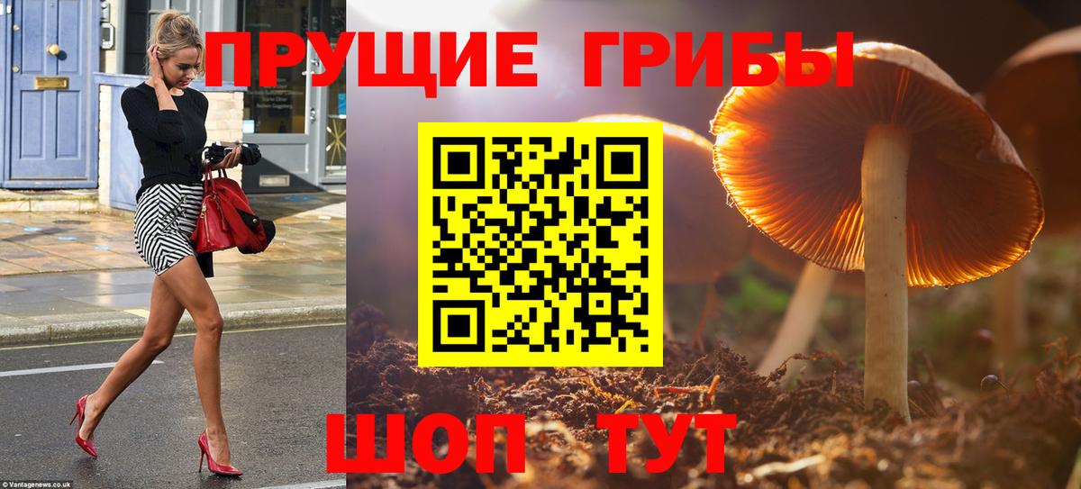 Галлюциногенные грибы мицелий Мценск